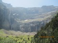 Le Cirque Le Cirque