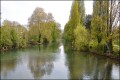 Le Clain depuis le Pont Neuf