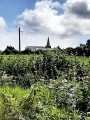 Boucle entre les ruisseaux au départ de Taisnières-sur-Hon