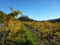 Auf Entdeckungstour durch das Massif de la Clape