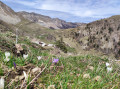 Le col de Branveau