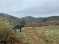 Le sentier des Douaniers depuis Biriatou