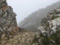 Le Col Vert Le Col Vert