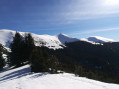 le col