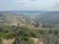 Le Coll Campanarets/Fenessar