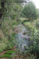 Le Cône