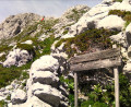 Le Corrnafion