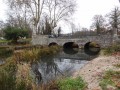 La Sologne autour de la Ferté-Saint-Aubin