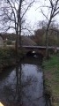Le Cosson à Ligny-le-Ribault