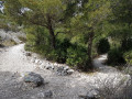 Le croisement avec le sentier vert