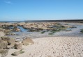 Le Croisic,pêcheurs de coquillages,au loin comme des fourmis. Le Croisic,pêcheurs de coquillages,au loin comme des fourmis.