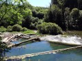 Le Cusancin Le Cusancin