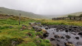 Boucle autour du Plomb du Cantal