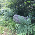 Le Dolmen de Chancy Le Dolmen de Chancy