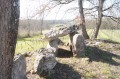 Le Dolmen de Curton Le Dolmen de Curton