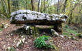 Les dolmens du Bois de l'Ange Gardien