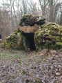 Le Dolmen du Reclus