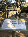 Balade familiale vers le dolmen la Cova de l’Alarb Balade familiale vers le dolmen la Cova de l’Alarb