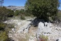 Le dolmen