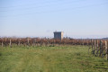 Le Donjon de Pons au dessus de la petite ville