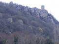 Le donjon du Château féodal de Montferrand