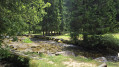 Source du Doubs et mare aux grenouilles Source du Doubs et mare aux grenouilles
