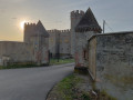Châteaux de Hombourg : le vrai, le faux et la ruine