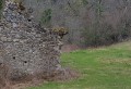 Le ferme en ruine du Ruisseau de Rieulhès Le ferme en ruine du Ruisseau de Rieulhès