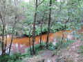 Le long du Canal des étangs de Lège-Cap Ferret