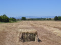 Botte de paille