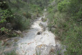 Le fond du vallon des Ouides