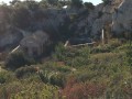Le fort de Figuerolles