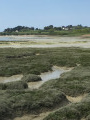 Le Frémur-Les vasières