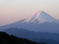 Le Fuji au soleil levant