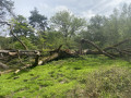 Boucle forestière en Sologne sauvage