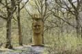 Boucle dans le Sud de la Forêt de Rougeau Boucle dans le Sud de la Forêt de Rougeau