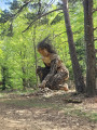 Le Géant de Bois