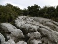 Le "glacier de pierres"