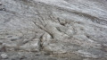 Le glacier de Gebroulaz