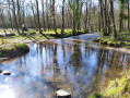 Le Gland