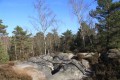 Le tour des Gorges d'Apremont en forêt de Fontainebleau