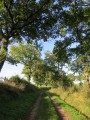 Chemin