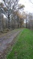 Le GR de Pays de Sologne au lieu-dit les Veillas