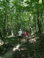 Le grand bois de Buzet Le grand bois de Buzet