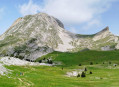 Le Grand et le petit Veymont