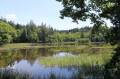 Le Grand Etang.