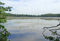 Le grand étang