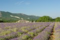 Le Grand Luberon Le Grand Luberon