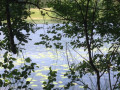Le tour des quatre lacs Le tour des quatre lacs