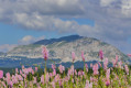 Le Grand Veymont Le Grand Veymont